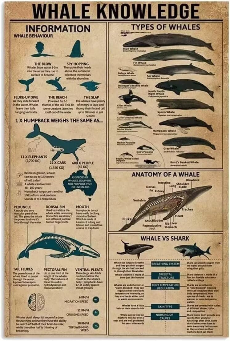 Whale Knowledge Metal Tin Sign