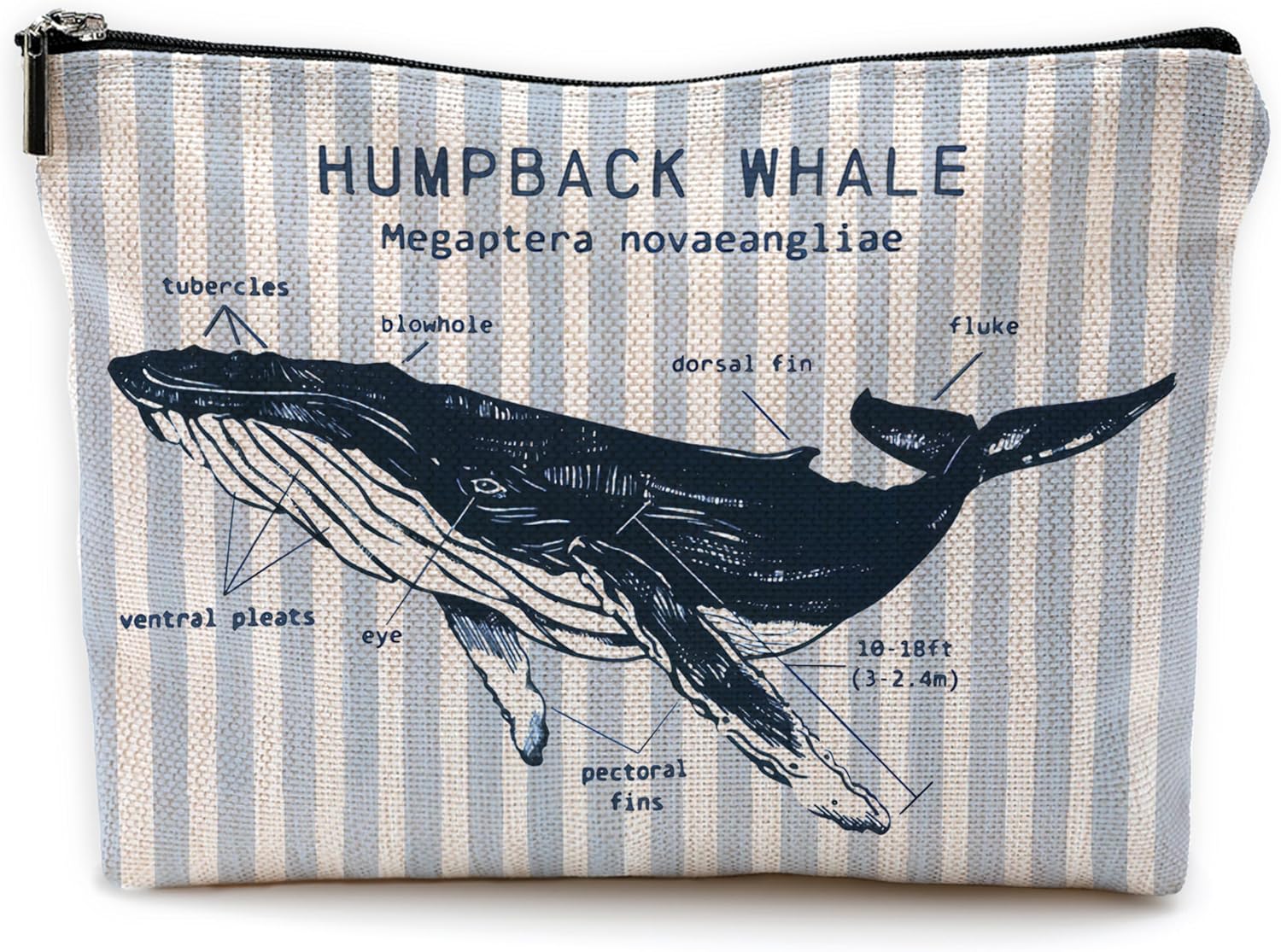 Humpback Whale Makeup Bag